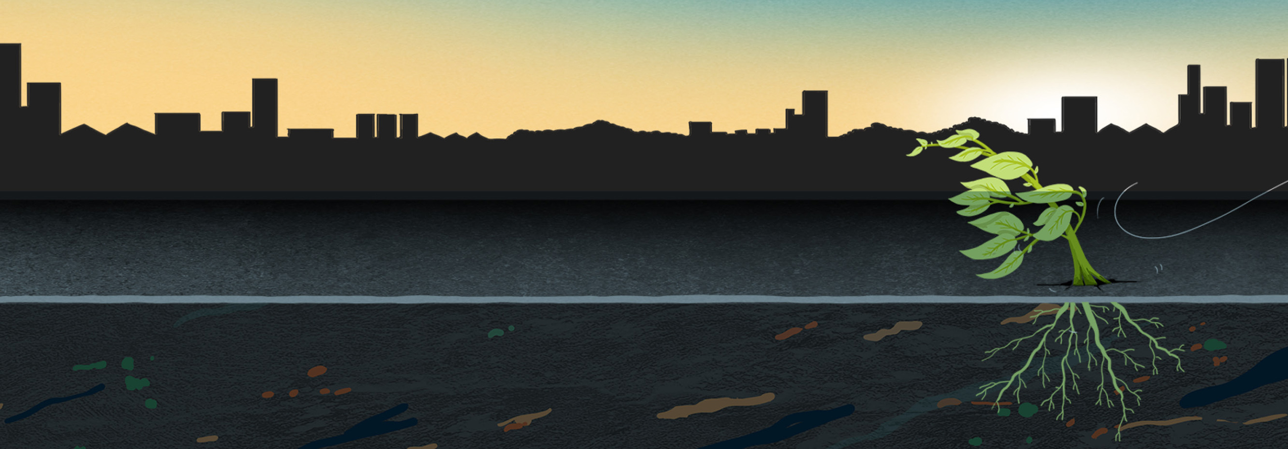 Panoramic view of a city with a tree - IDB - Publications