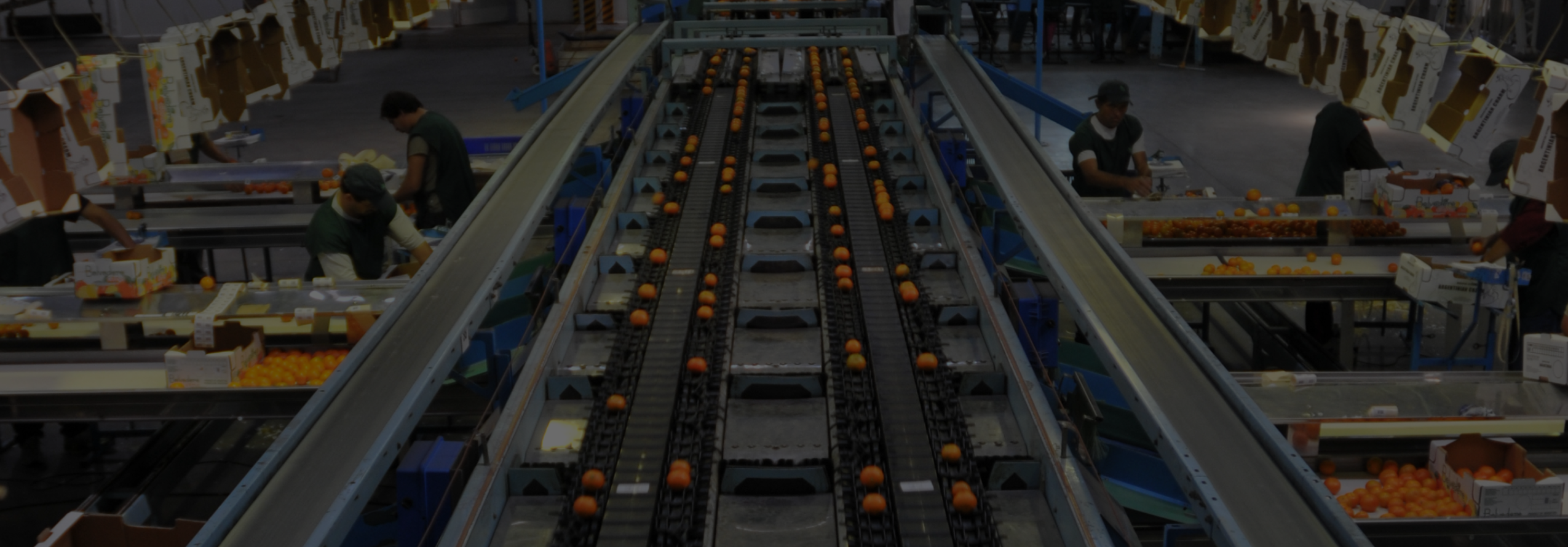 Workers inside an orange packing plant - IDB - Publications